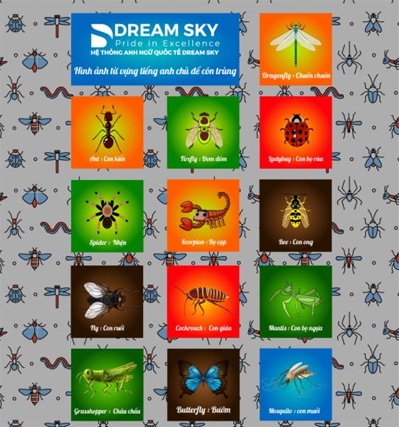 Tiếng anh cho trẻ mầm non về từ vựng