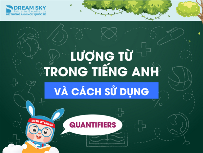 Lượng từ trong tiếng Anh và cách sử dụng đúng