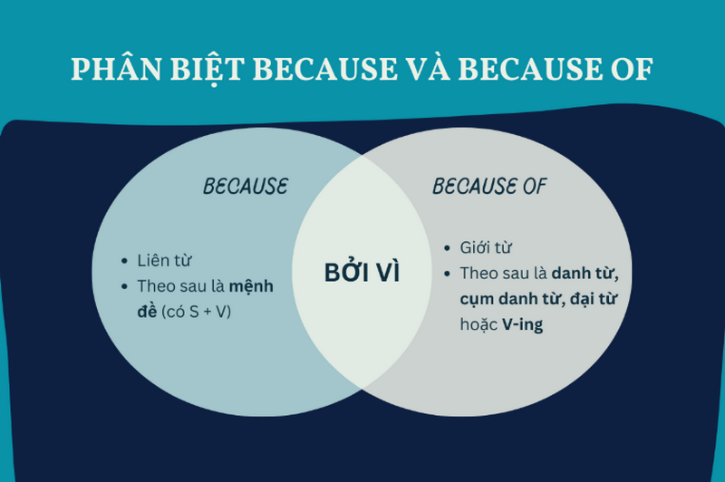 Giới từ chỉ lý do (Prepositions of Cause and Reason): Định nghĩa, cách dùng