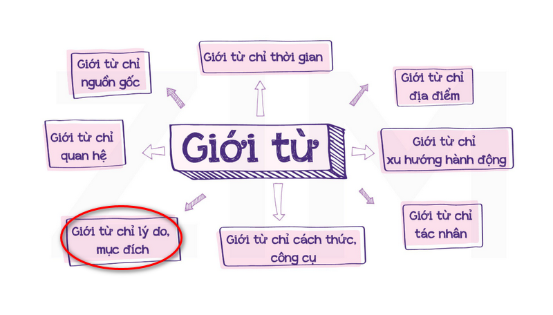 Giới từ chỉ lý do (Prepositions of Cause and Reason): Định nghĩa, cách dùng