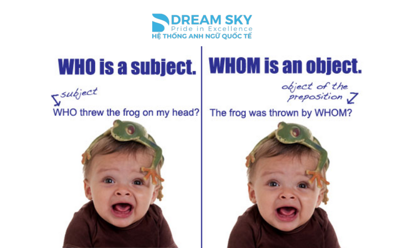 Cách sử dụng who - whom [Bé đã biết hay chưa]