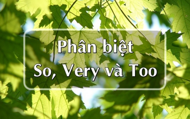 So sánh nhanh so – too – very