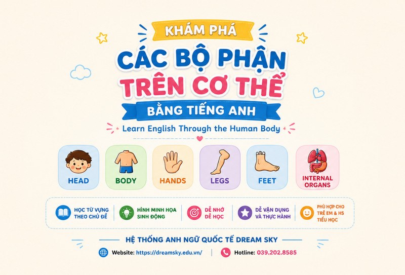 Khám phá các bộ phận trên cơ thể bằng tiếng Anh